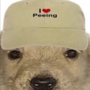 Meet your Posher, Diana